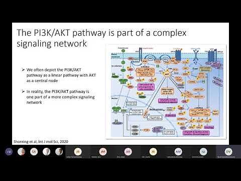 PI3K/Akt Pathway Inhibition for the Treatment of Metastatic Castrate-Resistant Prostate Cancer