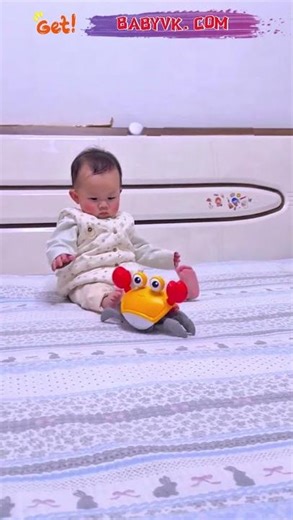 Remote Control Crawling Crab: Toddler’s Favorite Crawl & Chase Toy #BabyMustHaves