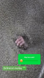 2.5K views · 21 reactions | Milwaukee County Zoo on Reels | Facebook