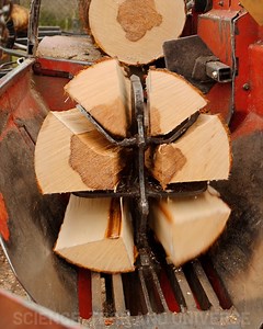 81K views · 145 reactions | Modern wood cutting machine | Science, Tech and Universe | Facebook