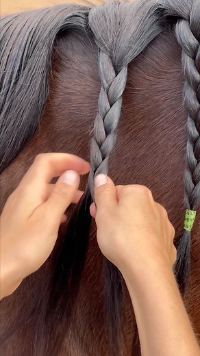 3.7K views · 76 reactions | 9 valuable tips when braiding your...