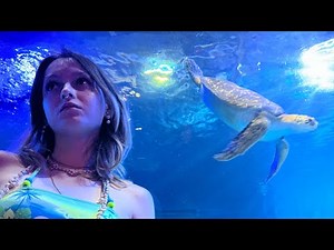 At sea life! Oh no someone set off the alarm ahhhh