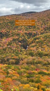 Some of the gorgeous colours of the Cabot Trail this week from Cape Breton locals daveyandsky! #VisitNovaScotia #ExploreCanada #NSLeafwatch #Fall #autumnvibes | Nova Scotia