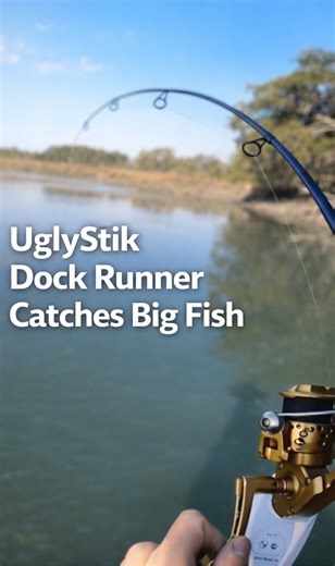 UglyStik Dock Runner catches big fish