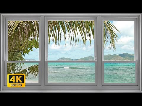 4K Tropical Beach window view in the Caribbean - Palm Trees, Ocean Sounds, White Noise