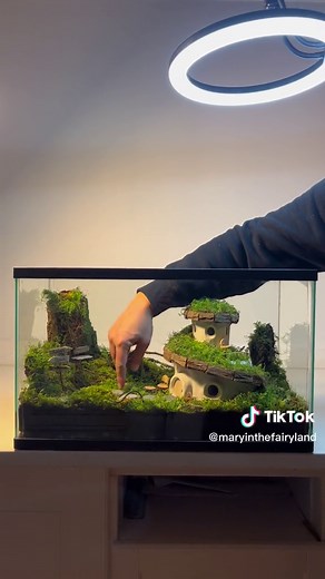 Creating a Magical Fairy House Terrarium