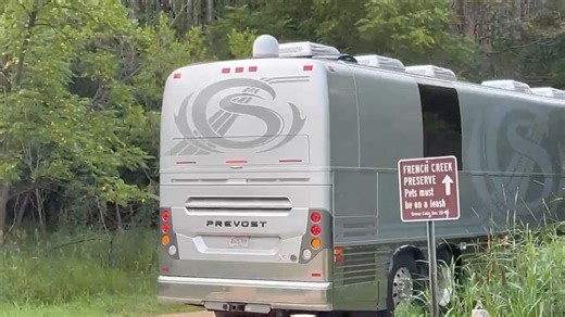 Brian Setzer on Reels