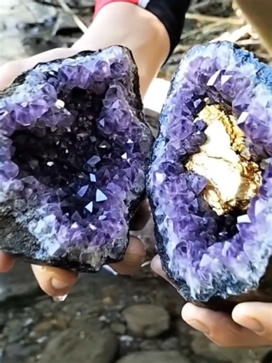 Explore Hidden Gold Gems in Your Next Treasure Hunt