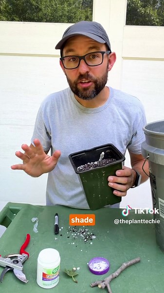 Have you ever rooted fig cuttings? 🤔🌱 Want an endless supply of fig plants? Here’s the simple method I use! ✂️🍃 Start with a fresh cutting, add a little rooting hormone for better success, wrap the tip with Parafilm to keep it from drying out, then plant it in a well-draining mix. 💪🌿 Water it in, keep it in the shade, and let nature do the rest. 🌱✨ #plantpropagation #gardening #fruittrees #learnontiktokcontest #gardeningtiktokcontest