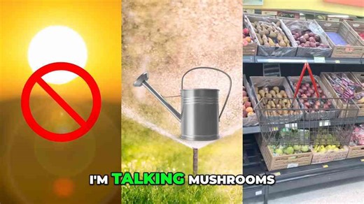 Grocery Store Survival - Farming for a Lifetime!