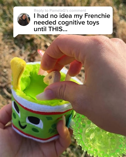 The only thing that would make this FREE bed better is if its 8 arms could pet your dog! Designed by BARK and inspired by our fan-favorite Odd Ollie the Octopus toy, this cozy lounger is $0 when you sign up for BarkBox. | BarkBox