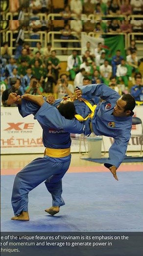 The Art of Vovinam: Mastering Traditional Vietnamese Martial Arts