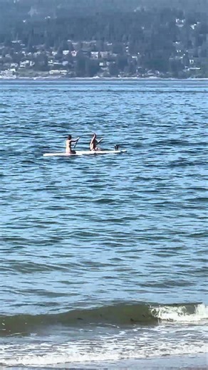 Joyful Paddling #beach2beach4u #beach