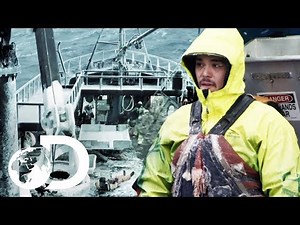 Cornelia Marie Member Takes Major Tumble On Icy Deck | Deadliest Catch