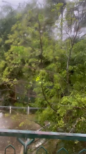 1.3K views · 56 reactions | Jah Jah. The storm finally out of here. That bitch is gone. You si me nuh! | Joe Thomas | Facebook