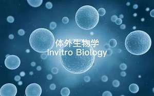 医药系列，体外生物学Invitro Biology，医药研发体外生物学试验职位解析