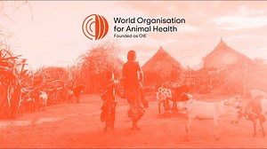 We are building a better future through better #animalhealth. As we refresh our brand identity, we’re enhancing our commitment of working across borders to improve the health of animals and our future. Because animal health is our health. It’s #EveryonesHealth. | World Organisation for Animal Health