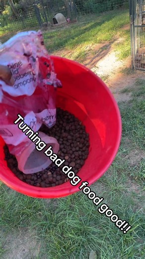 19K views · 1.5K reactions | How to turn a 20 dollar bag of feed into a 70 dollar bag of feed!! #FarmFresh #Homesteading #dogkennel #doglovers #dogfood #fypシ #smallfarmlife #tips #sustainableliving #StayInspired #apbt #gamedog #huntingdog | Jesus King McCoy | Facebook