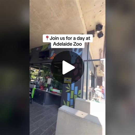 Explore Adelaide Zoo with the Family