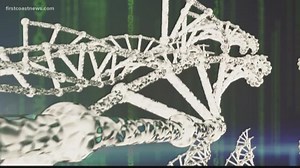 How accurate are DNA tests?