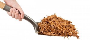 8 Types of Wood Mulch | DoItYourself.com