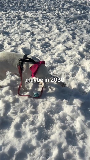 Progress in Special Needs Awareness and Support