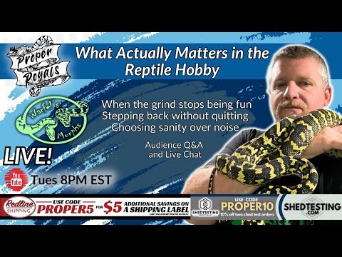 What Actually Matters in the Reptile Hobby