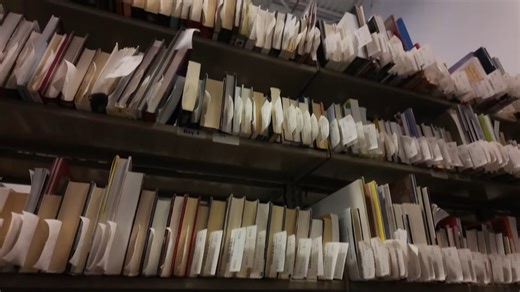 Why no one stopped 100,000 books from being destroyed