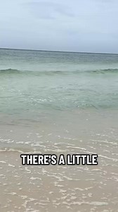 98K views · 2.6K reactions | Panama City Beach, Florida #panamacitybeach #truesouthernaccent #foryou #foryoupage #fyp | True Southern Accent | Facebook