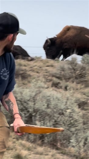 Harvests - Meat - Starter Herd on Instagram: "What a great hunt! This young man built his very own primitive bow and arrow, from the fletching on the arrow down to the broad head. He even made the rock knife that was used to break down the bison. Altogether, it was an amazing experience and was an honor see to how these great animals were harvested in the old days. #buffalo #bison #bow #bowhunting #hunting #veterans #airforce #activeduty #primitive #bison #experience #warriors #legends"