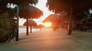 Tropical Sunset On Sandy Palm Beach Stock Footage Video (100% Royalty-free) 1096551829 | Shutterstock