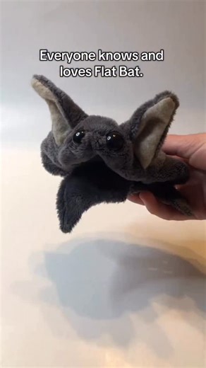 @bean_bats on Instagram: "Meet the family! . . . . . . . . . . #beanbats #family #bats #plushies #flat"