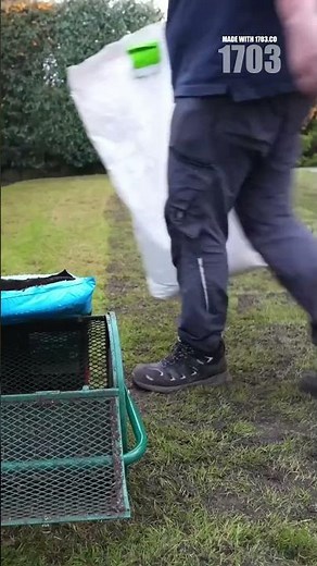 Fixing Yellow Lawn Patches with Epsom Salt Solution