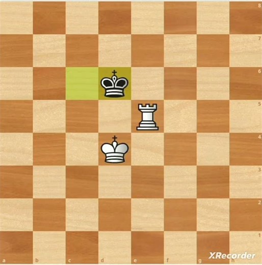 king and rook checkmate #chess #chessshorts