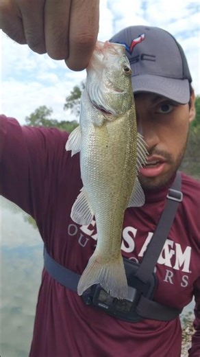 Caught this little bass on a black beetle spin!