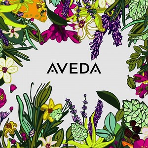 62K views | Free 6 piece Aroma shampoo & conditioner sample set w/ $40 | Aveda | Facebook