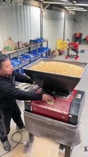 67K views · 423 reactions | For large-scale livestock farms, the 750-type corn chopper with a capacity of 8 tons per hour is the preferred choice for feed processing. #corncrusher #feedprocessing #graincrusher | New Tecnology | Facebook