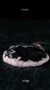 4.5M views · 44K reactions | Sea salt close-up #urday One drop of concentrated seawater slowly forming salt crystals over six hours. Real time lapse, no CGI. Sounds added in post-production | UrDay | Facebook