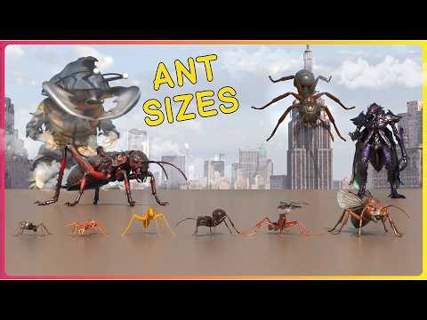 How BIG are ANTS 🕷️ Real vs Movie GIANT Ants - EPIC Size Comparison 3D