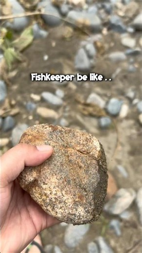 FishKeeper be like . . Kumuha kame ng bato for our Betta Fishes.