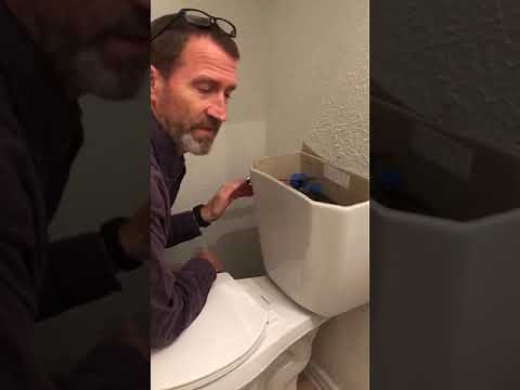 Replace toilet flapper glacier bay