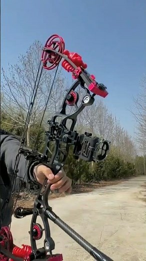 Steel Ball Compound Bow Kit, Dual Purpose Bow