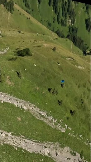 The world of pure imagination