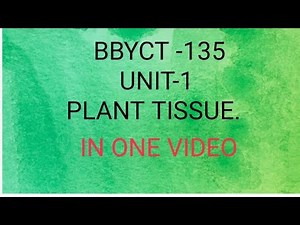 IGNOU bbyct -135,unit 1(plant tissue),botany..Most important in one video..