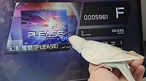 全网最会打音游的鹦鹉