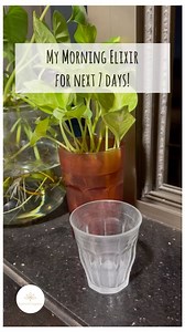 A juice made with coriander leaves, raw turmeric, and gooseberry (amla) is a powerful blend that provides numerous health benefits due to its anti-inflammatory, antioxidant, and immune-boosting properties. How to Prepare: • Blend a handful of coriander leaves, a small piece of raw turmeric root, and one or two gooseberries with water. • Strain if needed, and drink in the morning for optimal benefits. Adding a bit of black pepper may help enhance the absorption of curcumin from turmeric. This jui