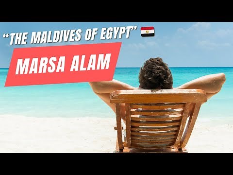 Ultimate Marsa Alam Guide 2026: Top Things to Do & Excursions from Marsa Alam, Egypt
