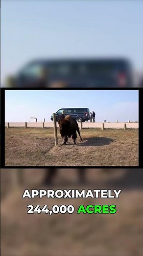 Why Badlands National Park Steals Every Visitor's Heart #travel #scenic #adventure