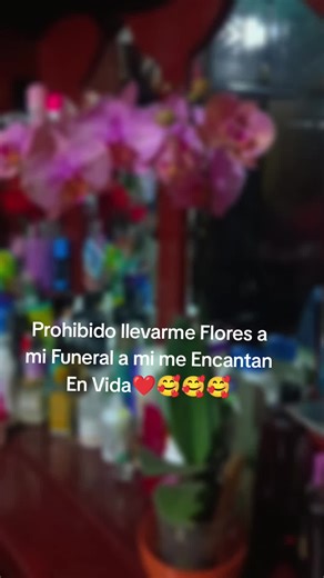 Flores a mi Funeral: Celebrando la Vida