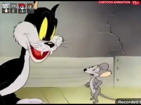 Cartoon animation - Here is a story of the 5th column mouse